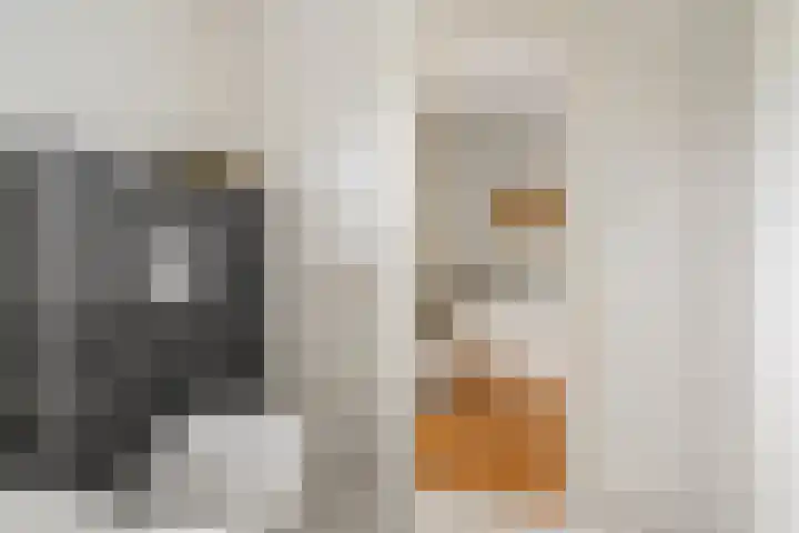 Commandeursweg 14 Bennekom thumbnail 40