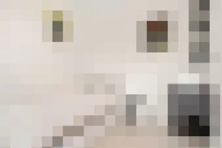 Commandeursweg 14 Bennekom thumbnail 48