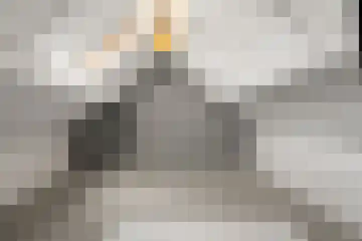 Commandeursweg 14 Bennekom thumbnail 57