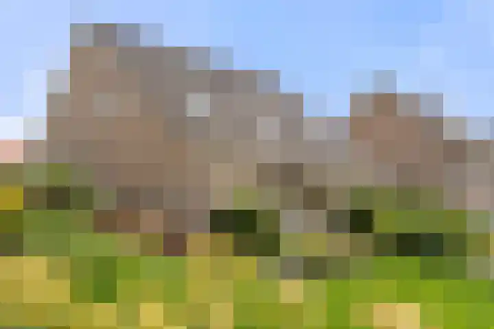 Commandeursweg 14 Bennekom thumbnail 7