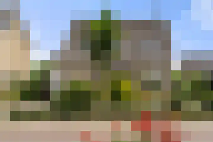 Commandeursweg 14 Bennekom thumbnail 8