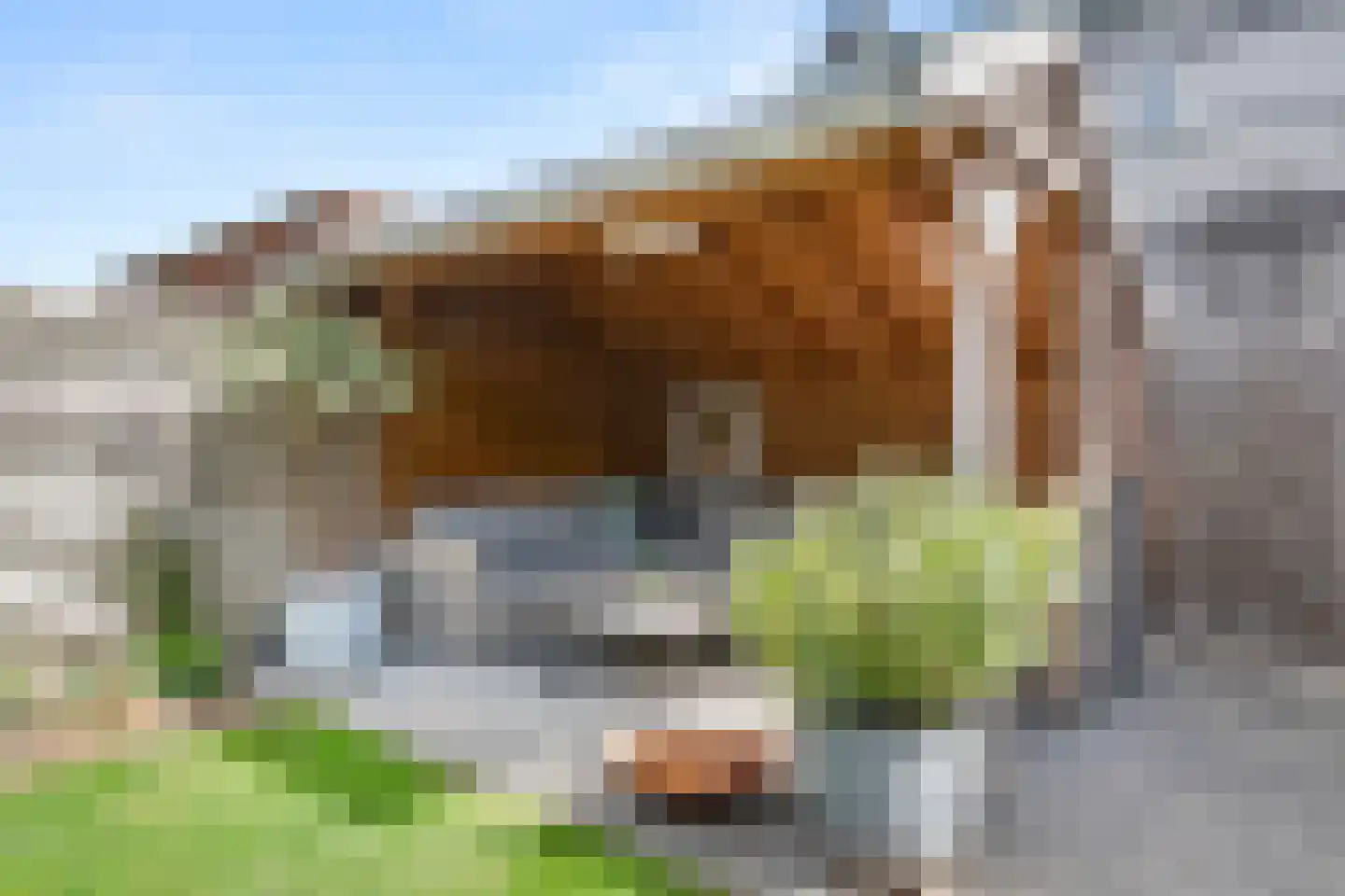 Commandeursweg 8 G Bennekom thumbnail 17