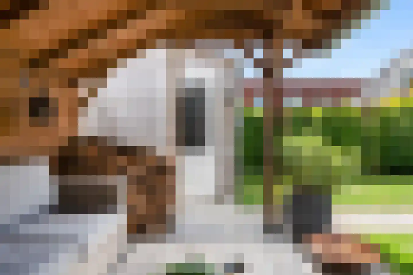 Commandeursweg 8 G Bennekom thumbnail 18