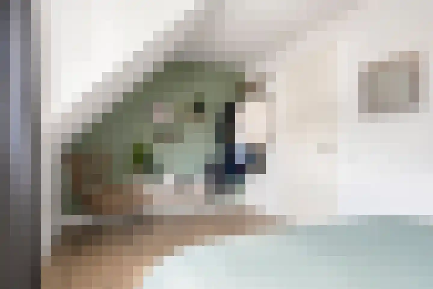 Commandeursweg 8 G Bennekom thumbnail 43