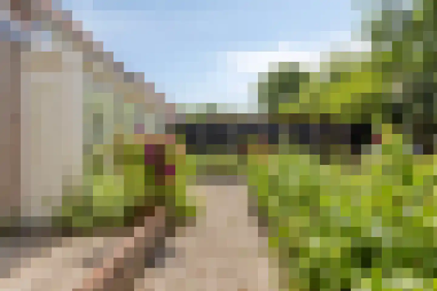 Commejansstraat 22 Ellewoutsdijk thumbnail 34