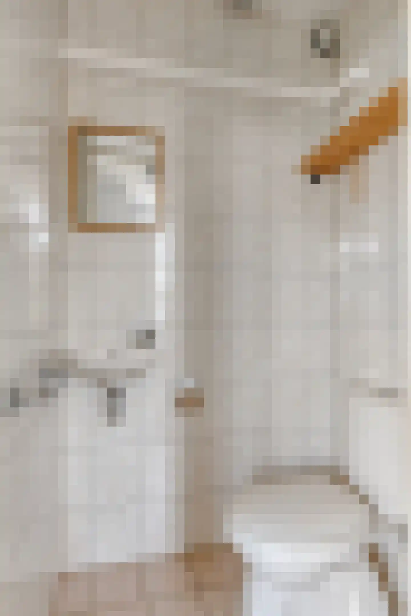 Commejansstraat 22 Ellewoutsdijk thumbnail 8