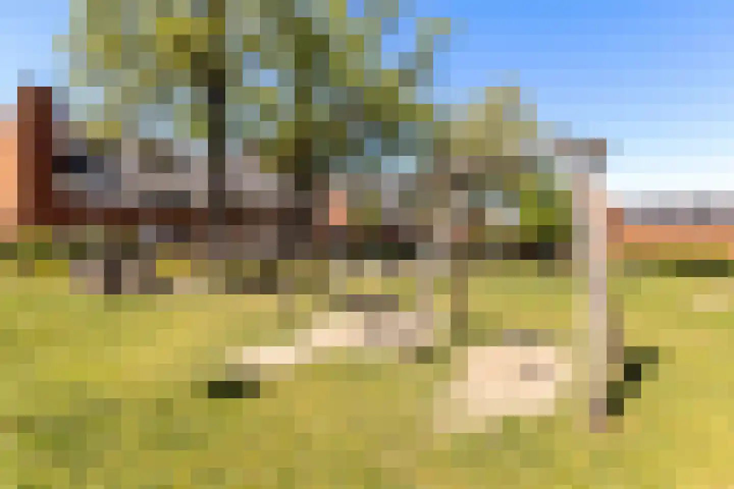 Commelinplein 9 Tilburg thumbnail 36
