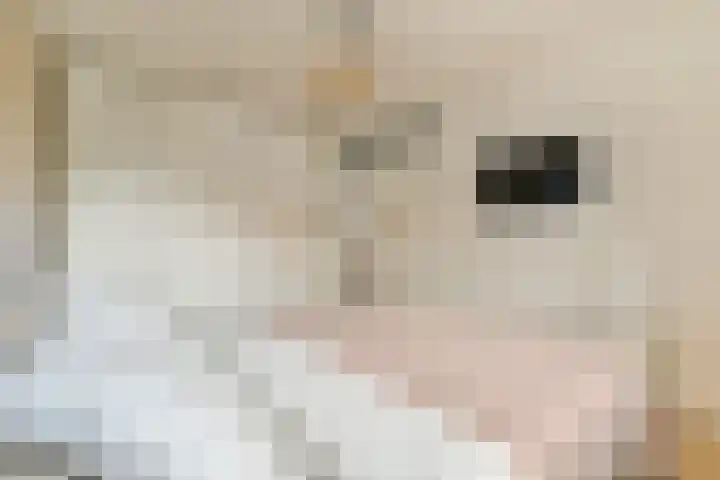 Commelinstraat 1 P Amsterdam thumbnail 10
