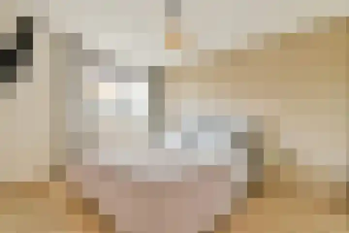 Commelinstraat 1 P Amsterdam thumbnail 11