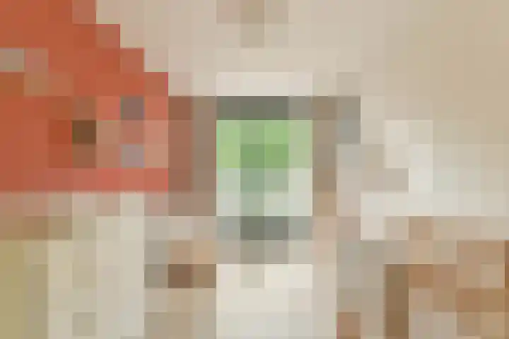Commelinstraat 1 P Amsterdam thumbnail 12