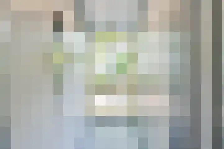 Commelinstraat 1 P Amsterdam thumbnail 22