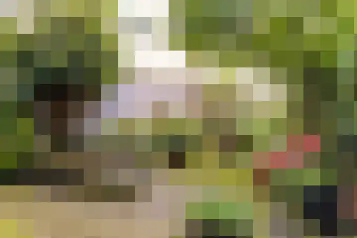 Commelinstraat 1 P Amsterdam thumbnail 28