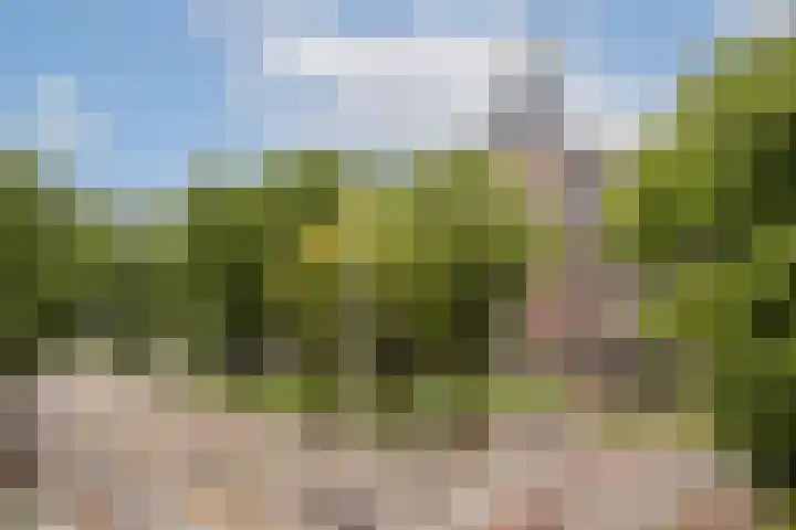 Commelinstraat 1 P Amsterdam thumbnail 6