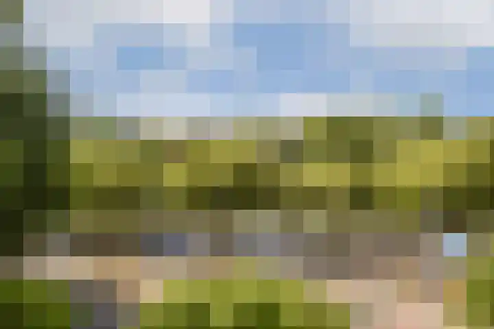 Commelinstraat 1 P Amsterdam thumbnail 7