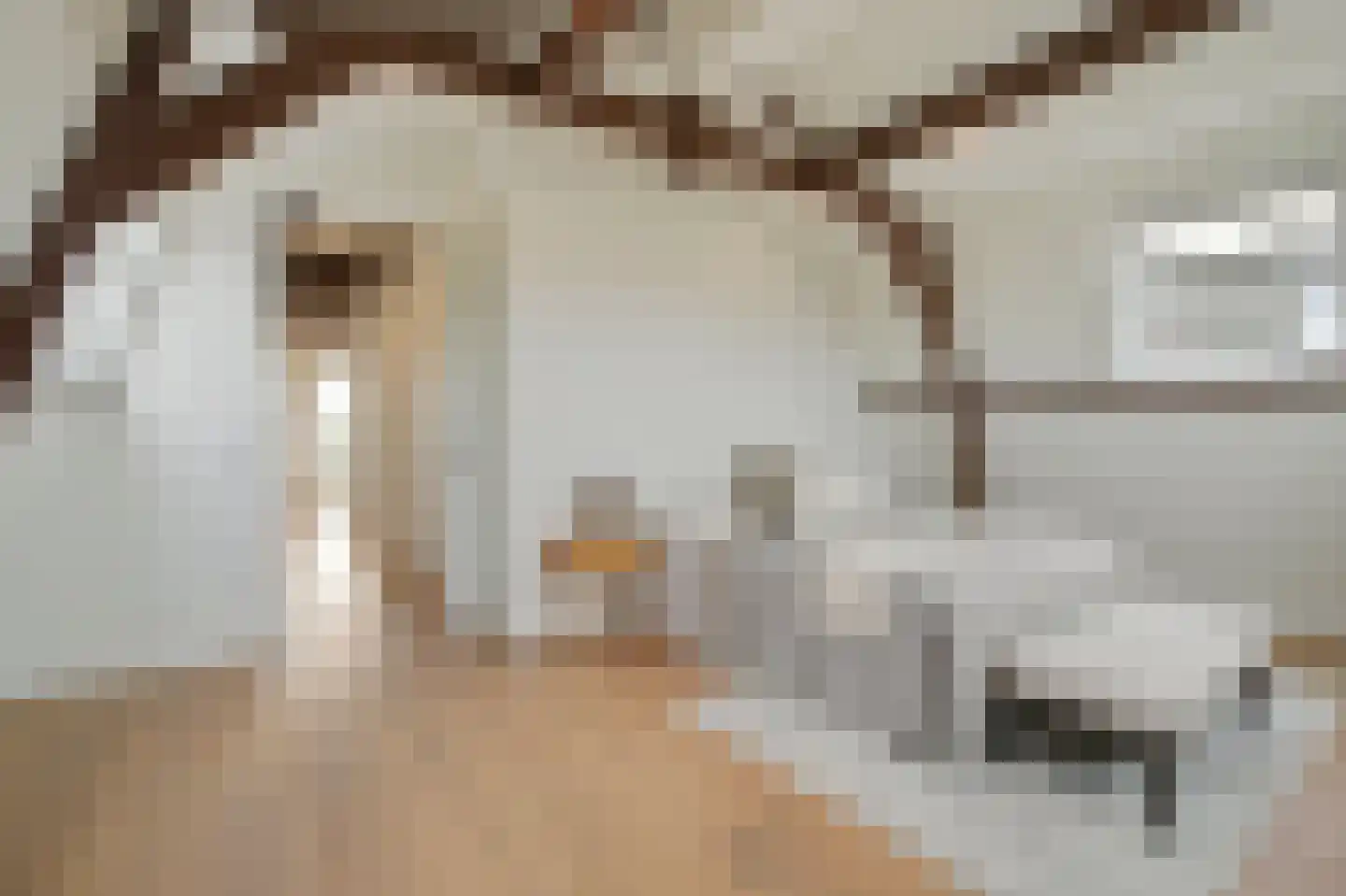 Commelinstraat 14 3 Amsterdam thumbnail 30