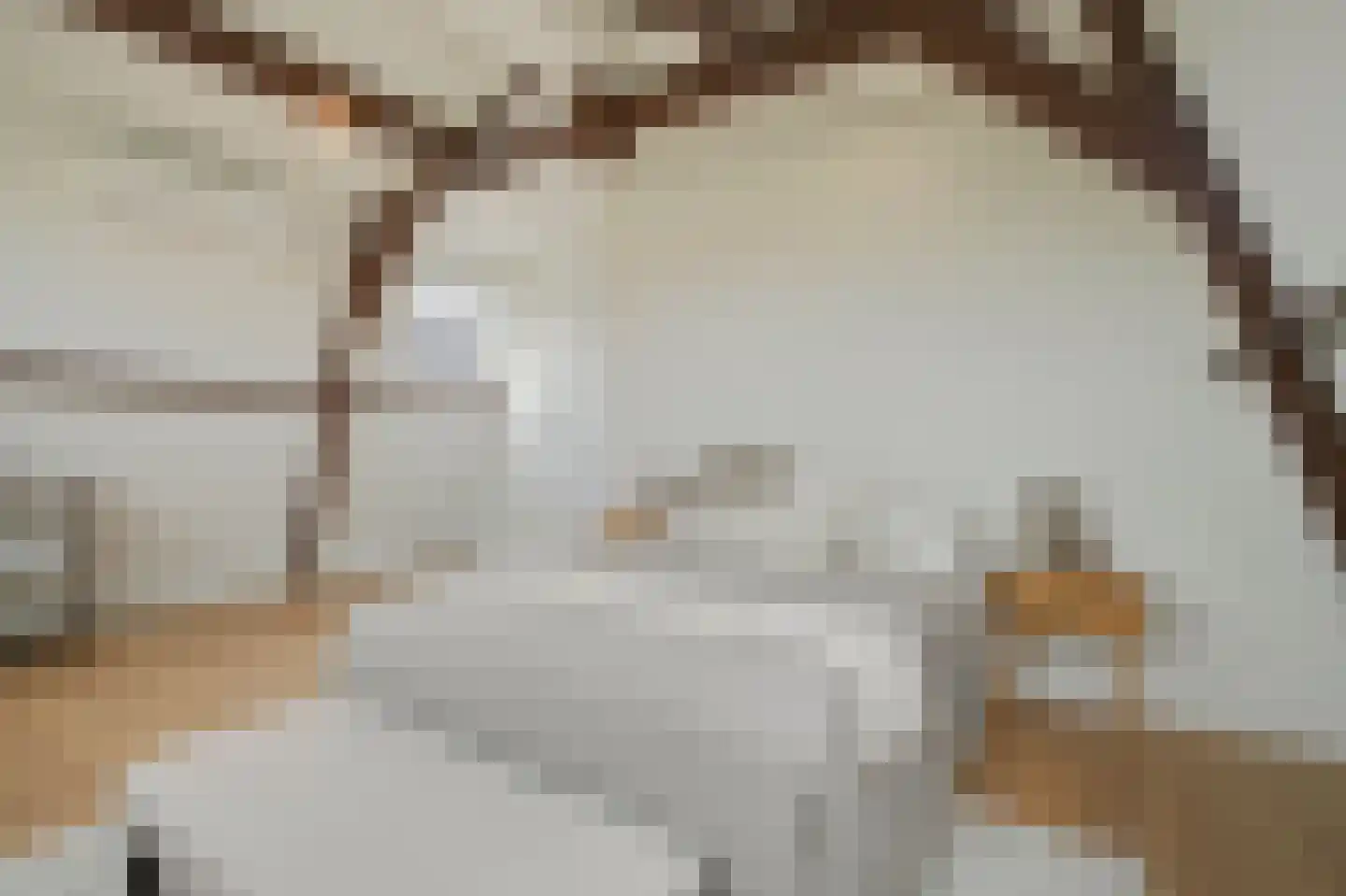 Commelinstraat 14 3 Amsterdam thumbnail 31