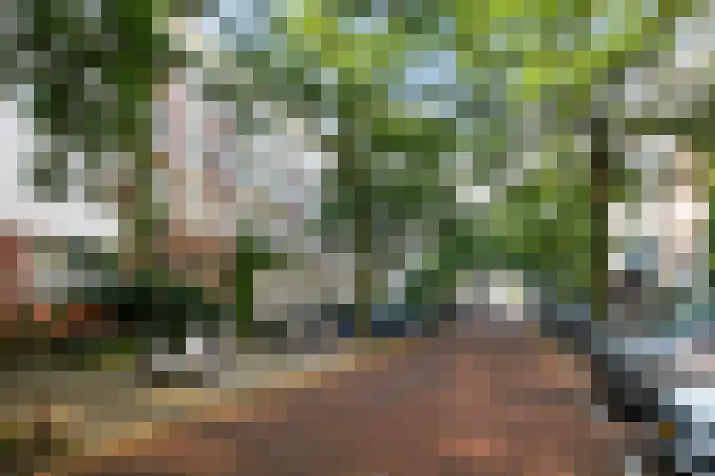 Commelinstraat 14 3 Amsterdam thumbnail 41