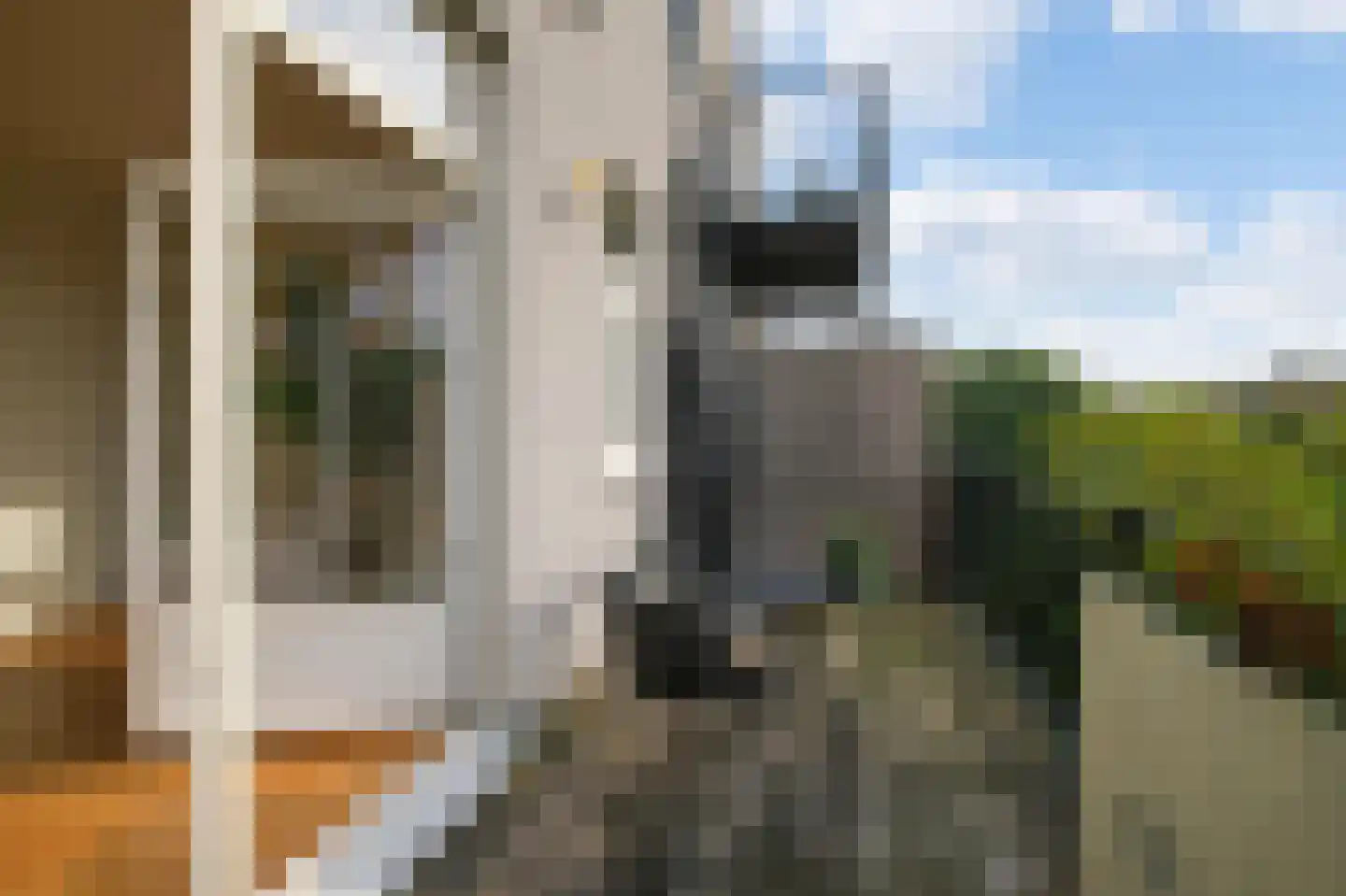 Commelinstraat 14 3 Amsterdam thumbnail 5