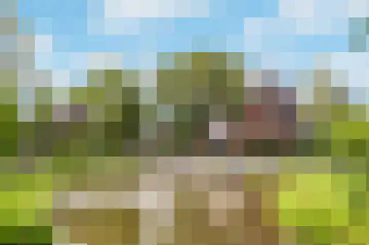 Commelinstraat 15 B Amsterdam thumbnail 35