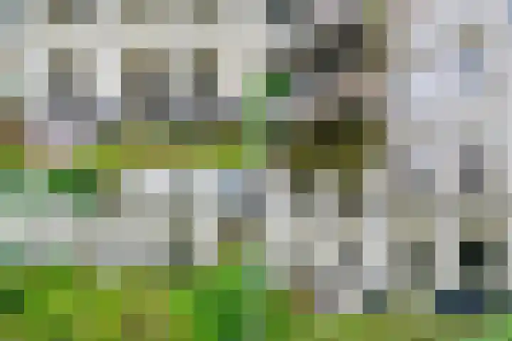Commelinstraat 15 B Amsterdam thumbnail 37