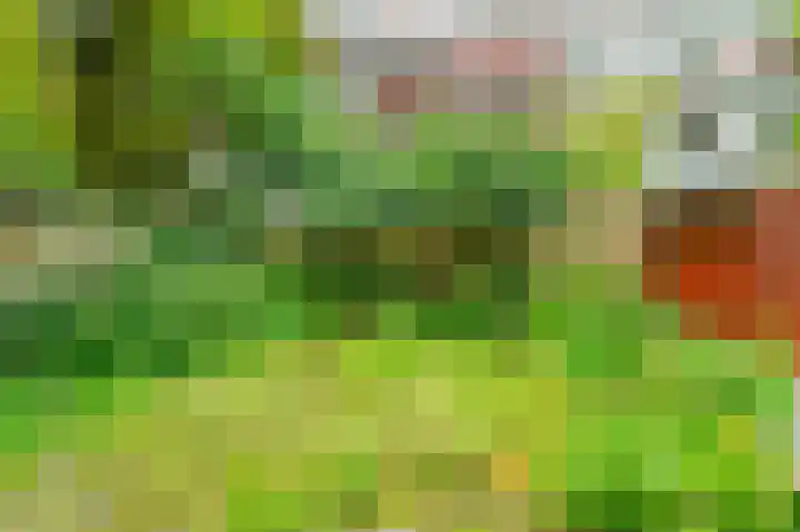 Commelinstraat 15 B Amsterdam thumbnail 4
