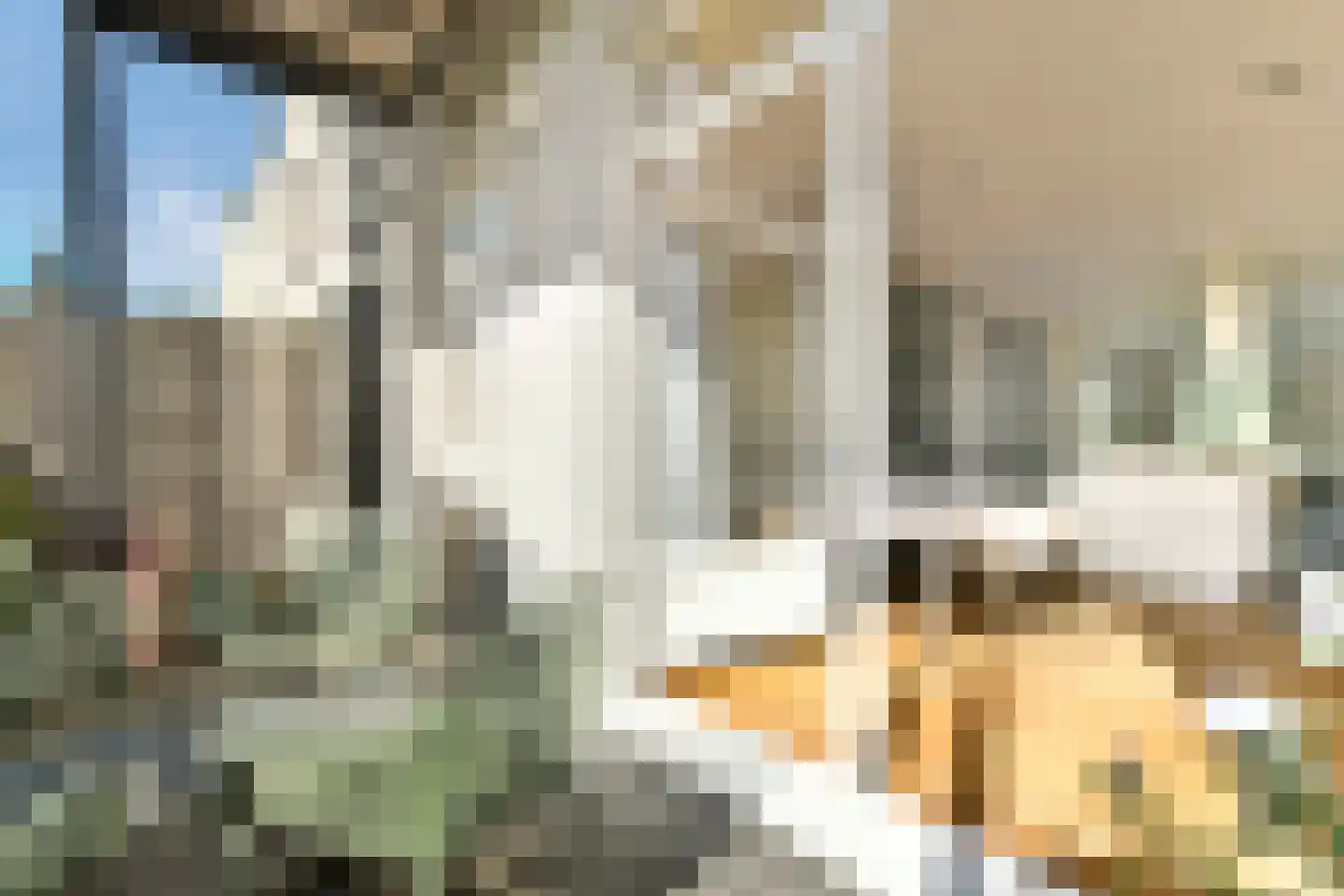 Commelinstraat 16 3 Amsterdam thumbnail 20