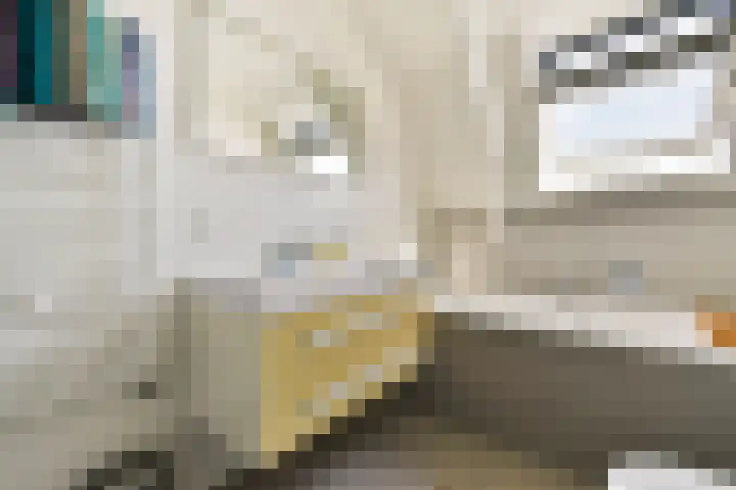 Commelinstraat 16 3 Amsterdam thumbnail 29
