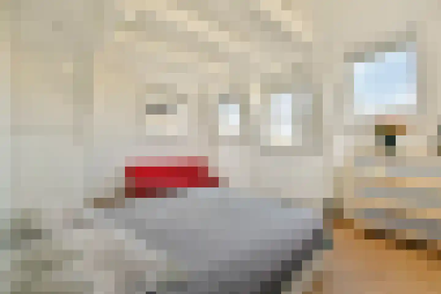 Commelinstraat 16 3 Amsterdam thumbnail 34