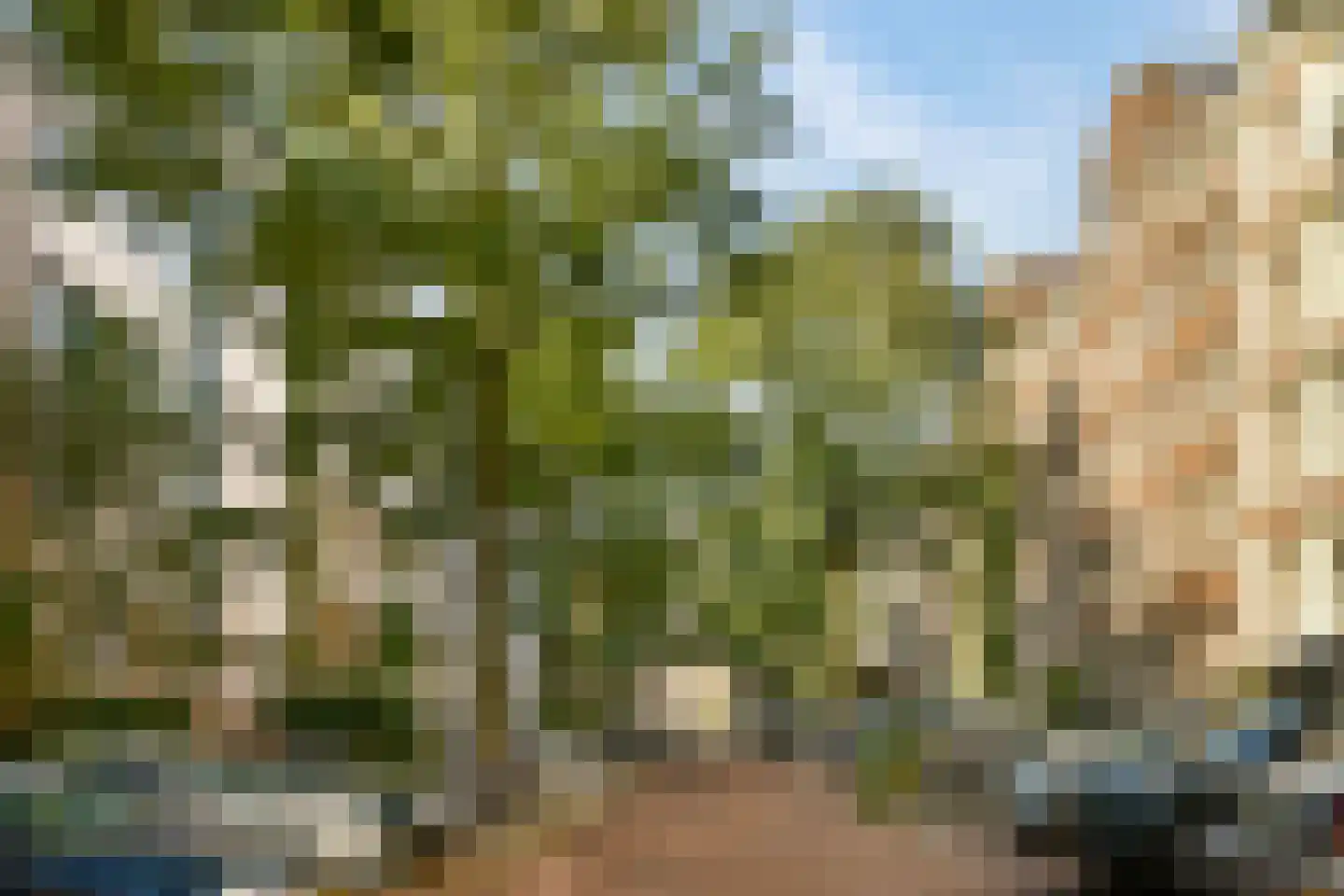 Commelinstraat 16 3 Amsterdam thumbnail 4