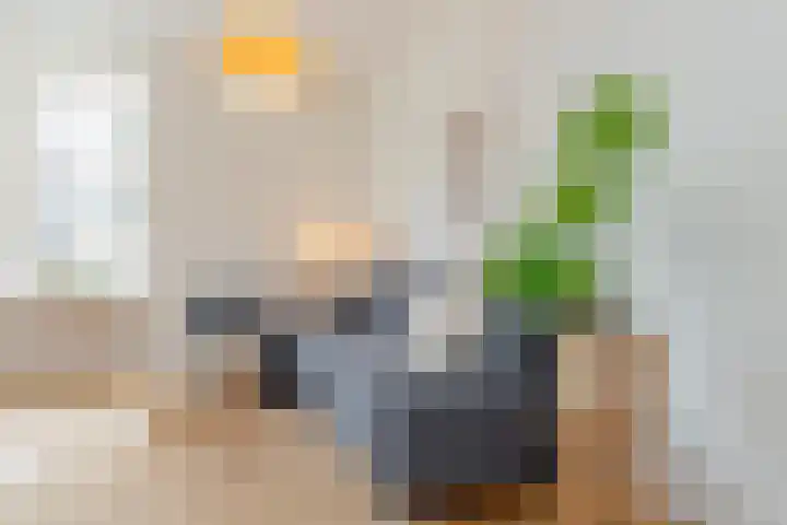 Commelinstraat 163 Amsterdam thumbnail 10