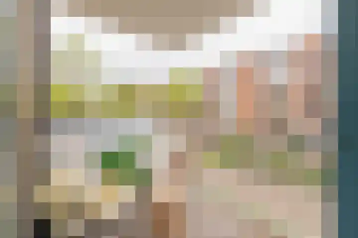 Commelinstraat 163 Amsterdam thumbnail 14