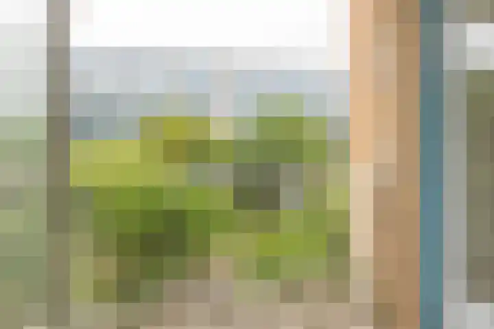 Commelinstraat 163 Amsterdam thumbnail 17