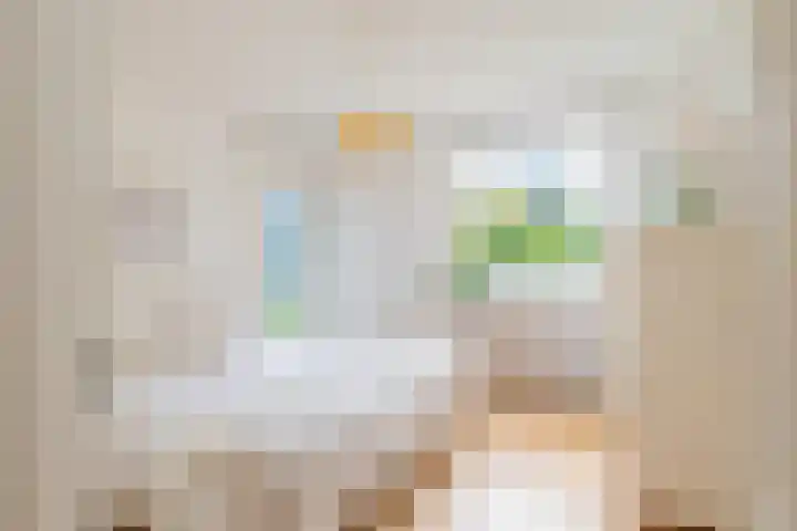 Commelinstraat 163 Amsterdam thumbnail 18