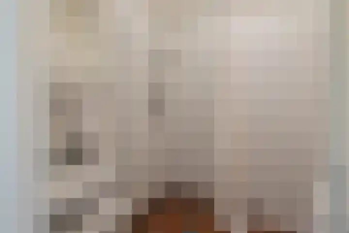 Commelinstraat 163 Amsterdam thumbnail 22