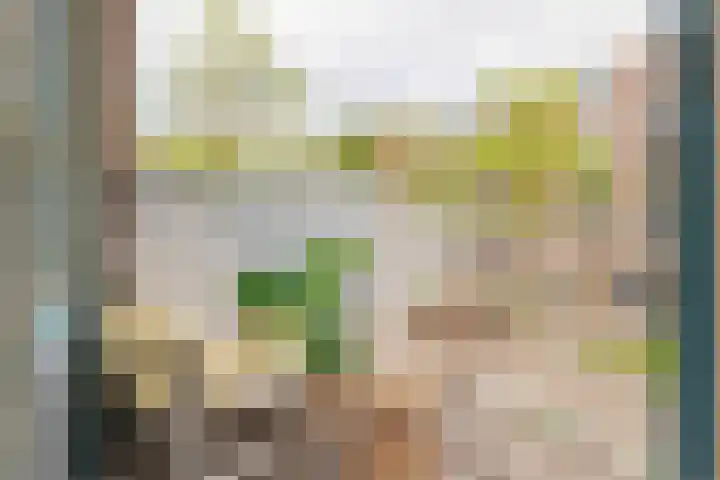 Commelinstraat 163 Amsterdam thumbnail 5