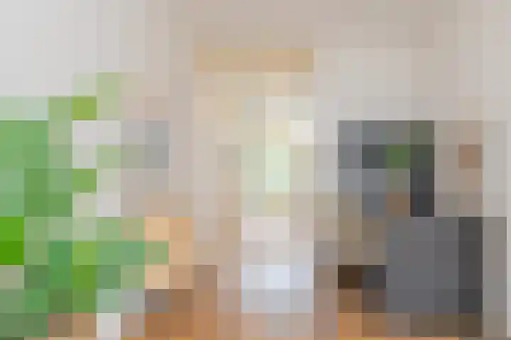 Commelinstraat 163 Amsterdam thumbnail 8