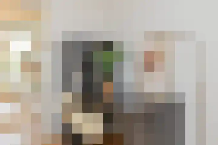Commelinstraat 163 Amsterdam thumbnail 9