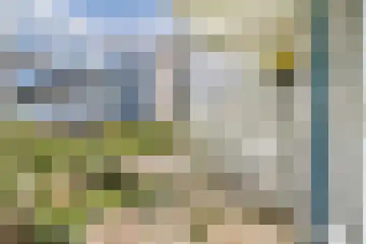 Commelinstraat 199 Amsterdam thumbnail 11