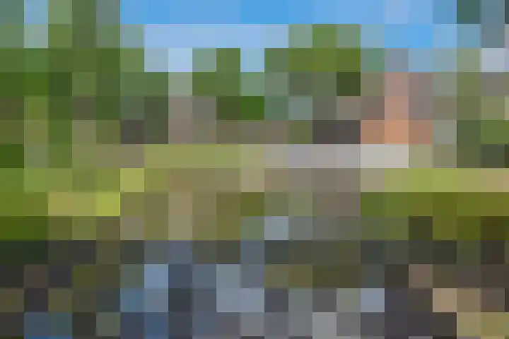 Commelinstraat 199 Amsterdam thumbnail 22
