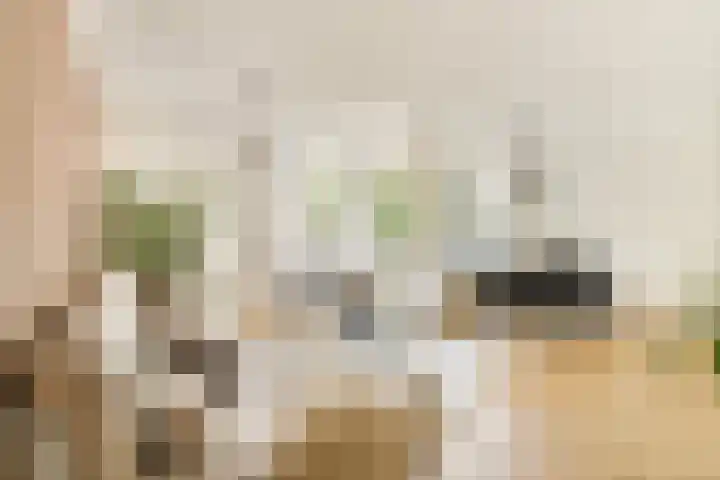 Commelinstraat 199 Amsterdam thumbnail 26