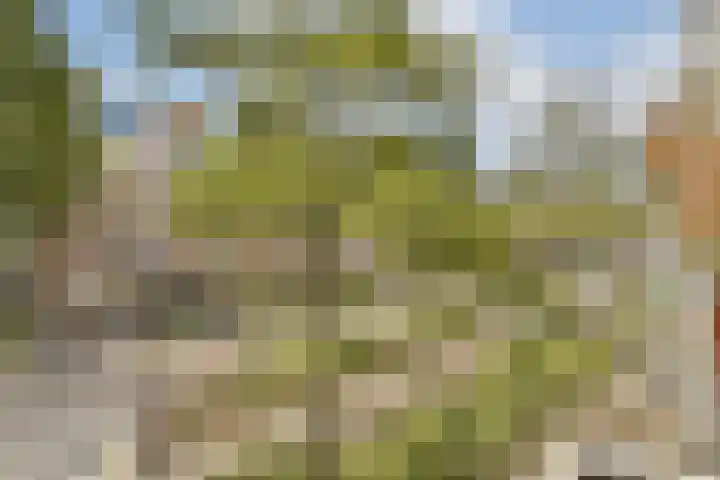 Commelinstraat 199 Amsterdam thumbnail 5