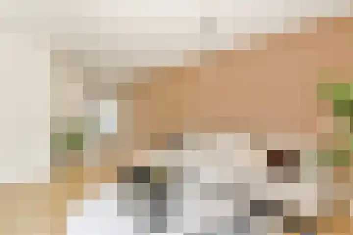 Commelinstraat 199 Amsterdam thumbnail 6