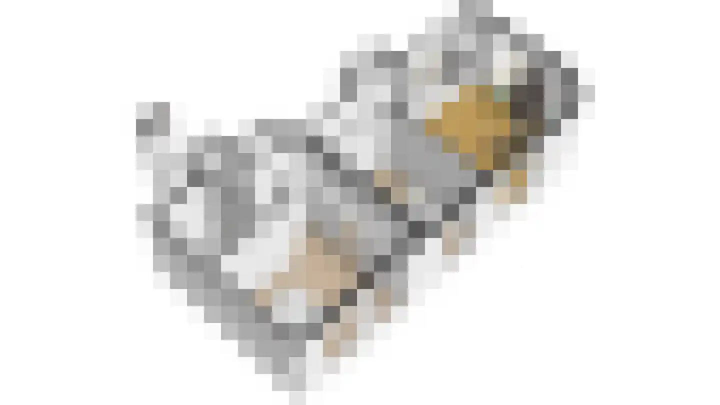 Commelinstraat 2 B Amsterdam thumbnail 37