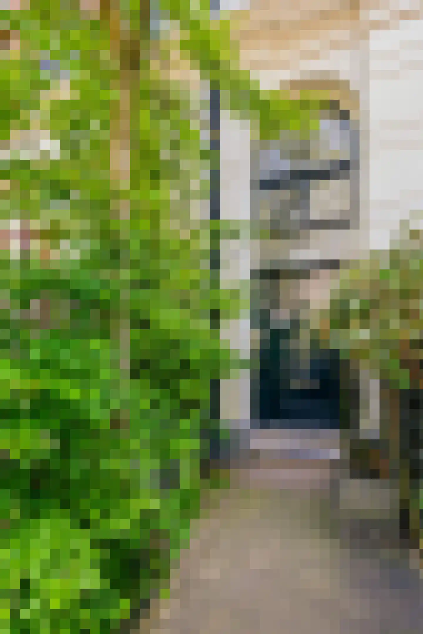 Commelinstraat 2 B Amsterdam thumbnail 4