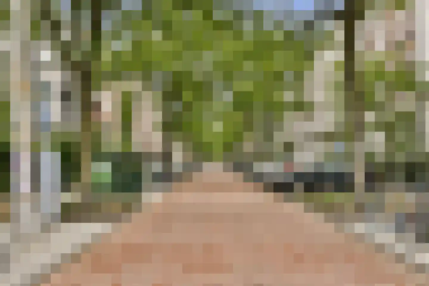 Commelinstraat 2 C Amsterdam thumbnail 15