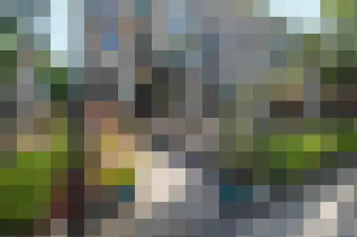 Commelinstraat 2 E Amsterdam thumbnail 14