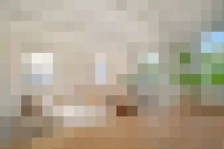 Commelinstraat 2 E Amsterdam foto 3