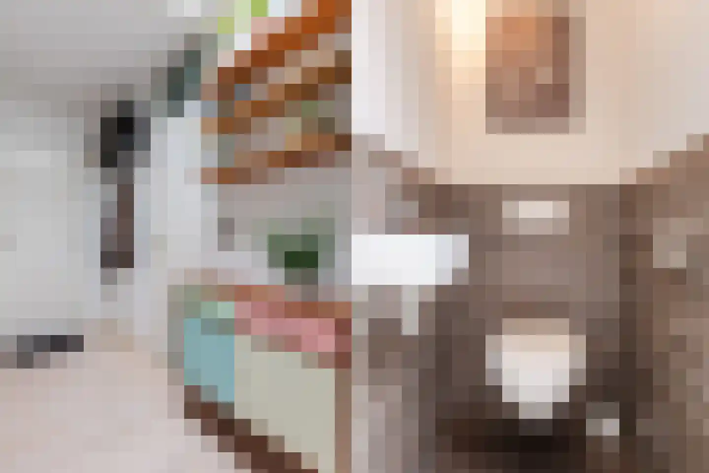 Commelinstraat 239 Amsterdam thumbnail 14
