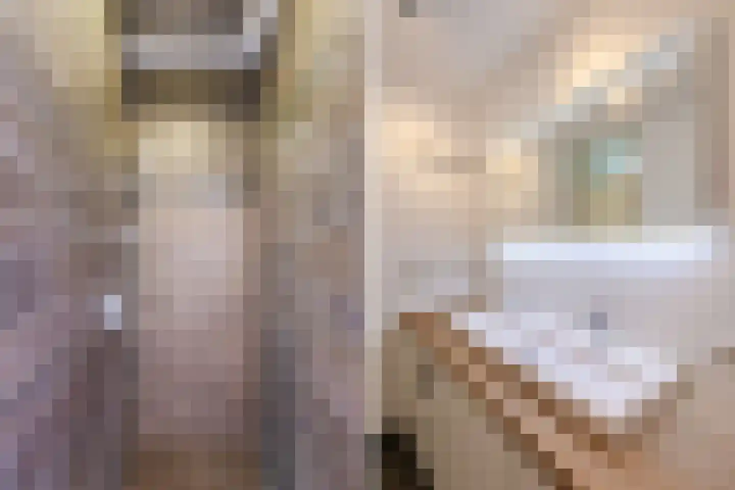 Commelinstraat 239 Amsterdam thumbnail 21