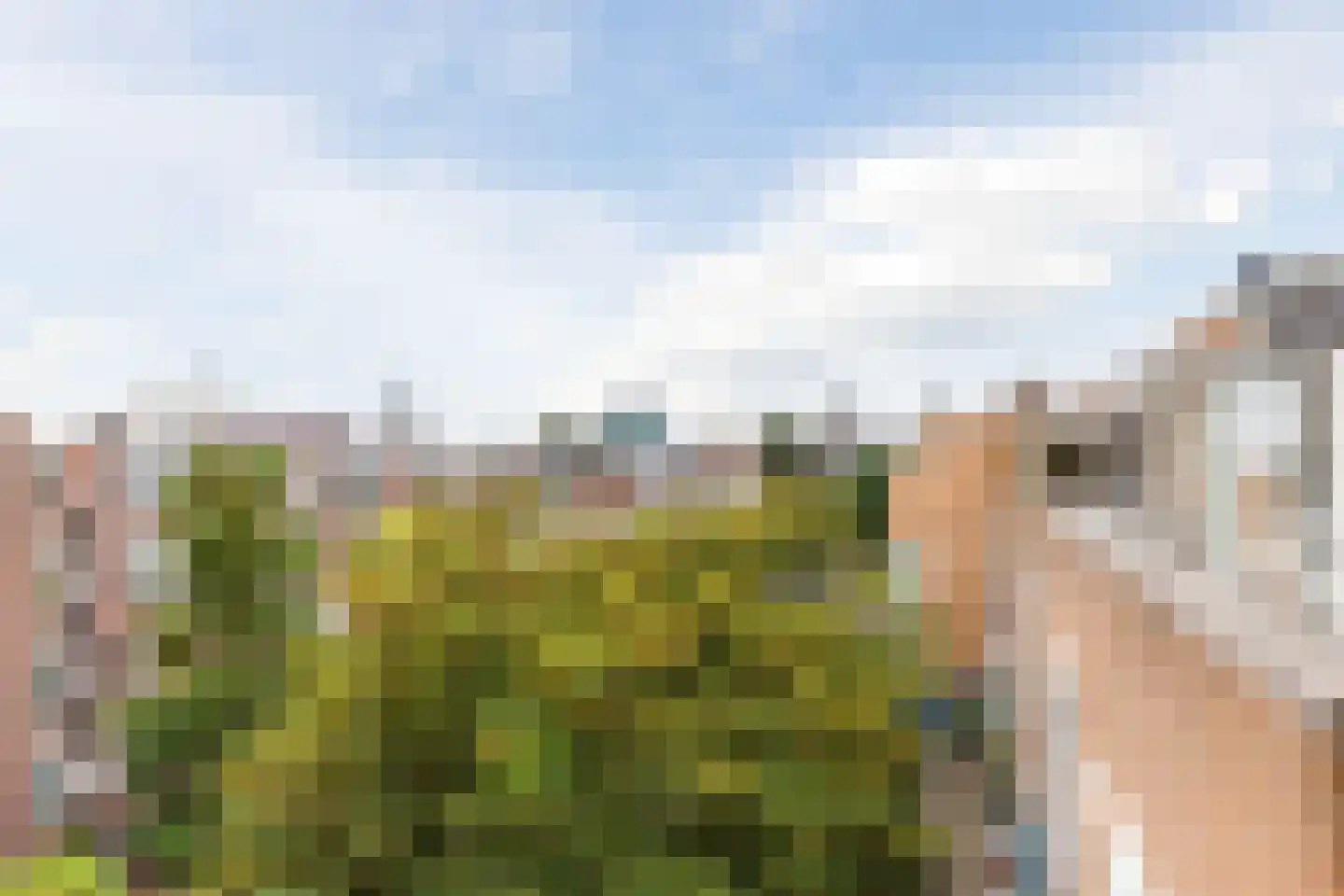 Commelinstraat 239 Amsterdam thumbnail 25